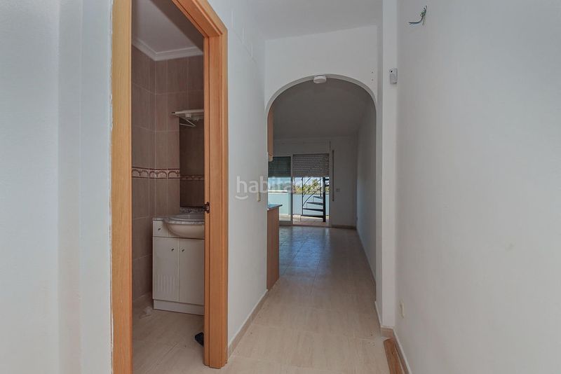 Foto dfabd654-6c52-454e-9b6a-268c5b37c515. Pis a Eucaliptus - Poble Nou del Delta Amposta