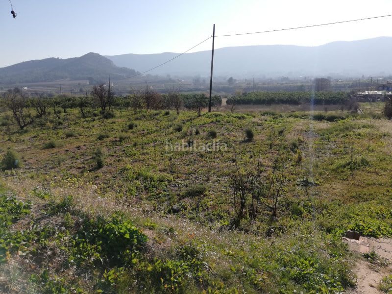 Foto 7a49c412-5b12-4891-b978-9dbec3f2f935. Finca rústica a Canals