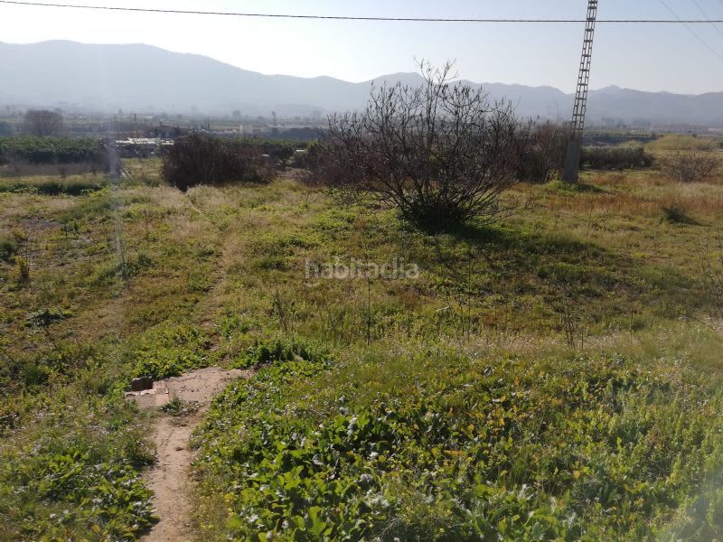 Foto cc22936a-64bd-4b94-8116-3f3c396cf936. Finca rústica a Canals