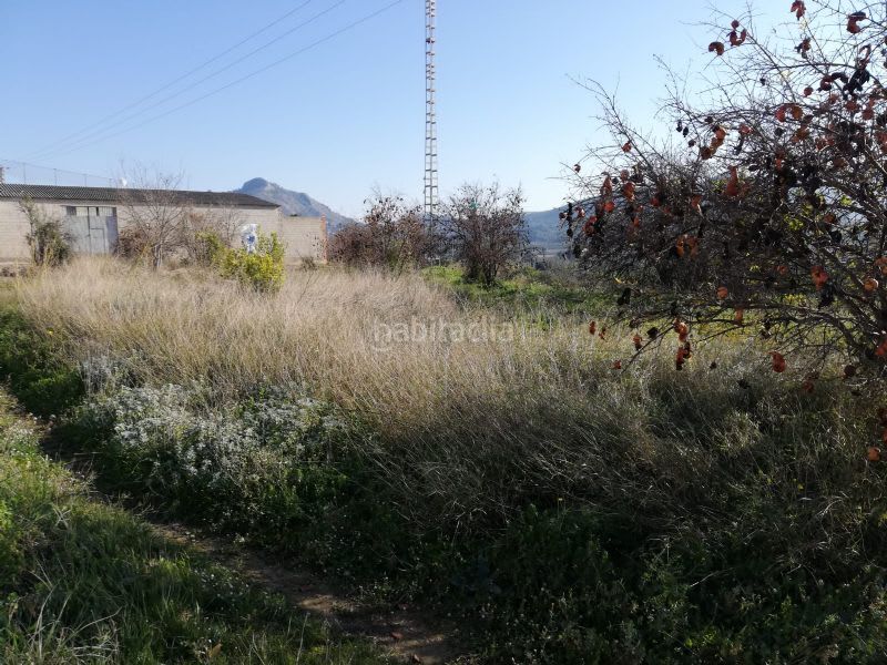 Foto 6b7c47d6-9791-419a-8b60-faf8f089af5e. Finca rústica a Canals