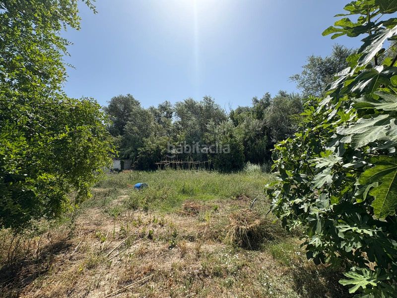 Foto 1c73e3ba-659d-4c2a-8e94-cf5c31559fc5. Finca rústica a Puente Jontoya - Puente de la Sierra - El Arroyo Jaén