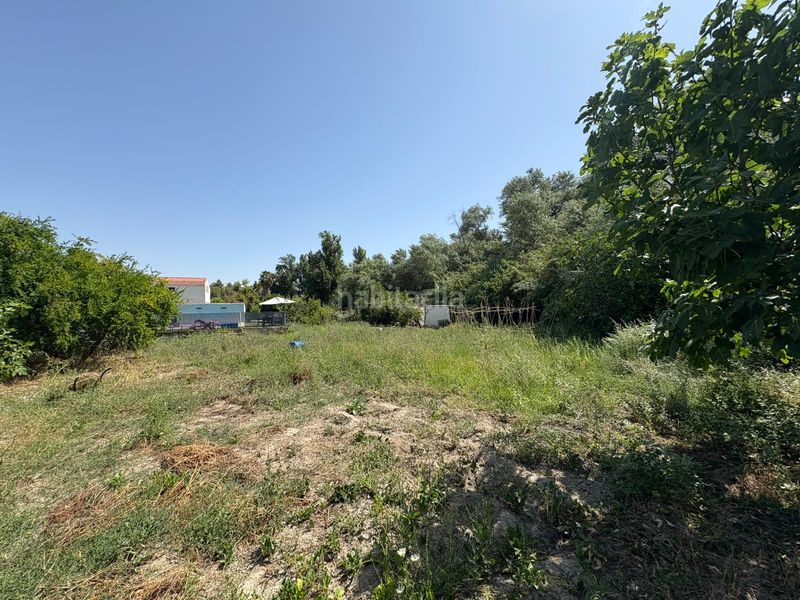 Foto 973e1795-cef1-4678-a118-d0eea119c6ef. Finca rústica a Puente Jontoya - Puente de la Sierra - El Arroyo Jaén