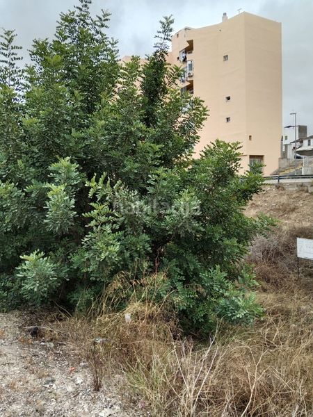 Foto 80d8cb13-3a49-49a6-83ff-e8b3b0dc3739. Finca rústica a Alcúdia de Crespins (l´)