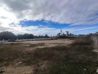 Finca rústica  C/ los sauces. Solvia inmobiliaria  suelo urbano elcheelx