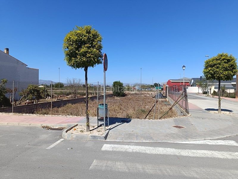 Foto c112a0e9-4f22-4ca8-a1a0-3b54618ac9b6. Finca rústica a Daya Nueva