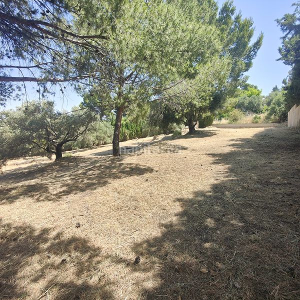 Foto 0c7168eb-6663-48c7-96fe-c0e87476a415. Finca rústica a Puente Jontoya - Puente de la Sierra - El Arroyo Jaén
