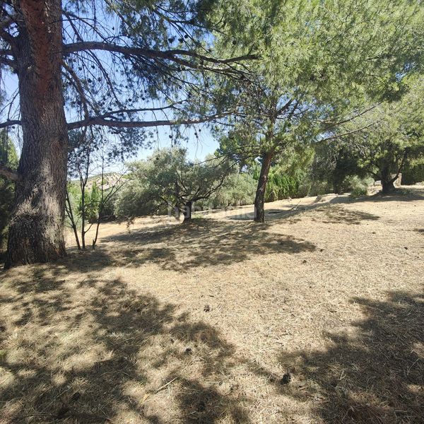 Foto 301535b6-353b-4aa4-8e15-bde1f12a5b6c. Finca rústica a Puente Jontoya - Puente de la Sierra - El Arroyo Jaén