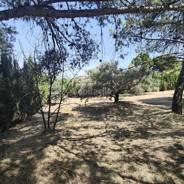 Foto 943e6472-a4c9-4381-893a-34fd18368f6e. Finca rústica a Puente Jontoya - Puente de la Sierra - El Arroyo Jaén