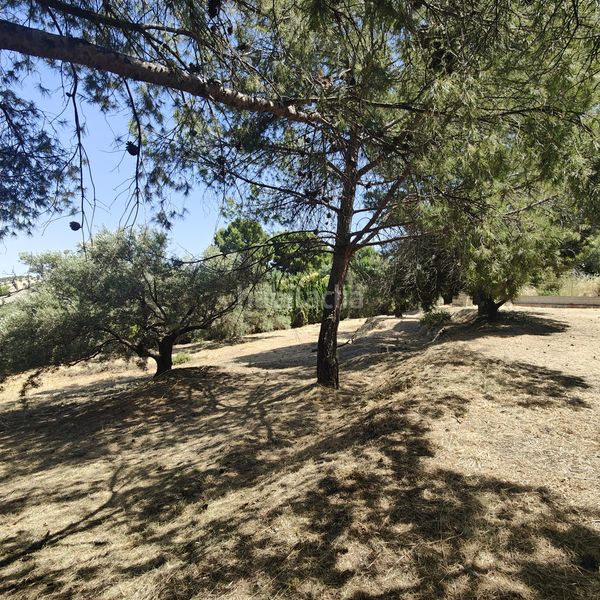 Foto edb8ea4c-14cc-43af-b5a9-60ff9ecec909. Finca rústica a Puente Jontoya - Puente de la Sierra - El Arroyo Jaén
