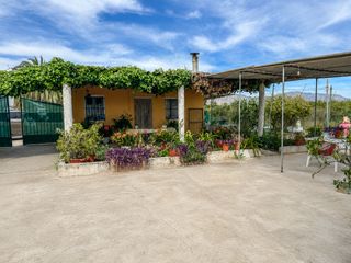 Finca rústica  Camino de los corrales. Solvia inmobiliaria  terreno con vivienda albatera