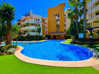 Apartament  Punta prima. Solvia inmobiliaria  apartamento torrevieja