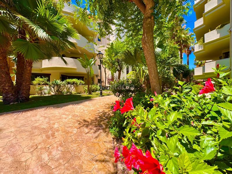 Foto a5411c38-2001-4ab2-aa81-4939ab03d790. Apartament amb aparcament piscina a Punta Prima Torrevieja