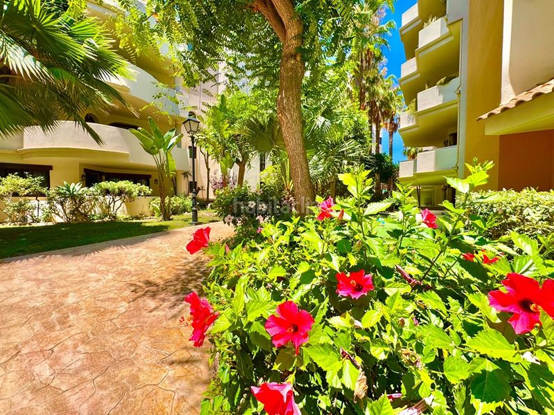 Foto d165376b-73ef-4c48-a810-f6061a7b2ce1. Apartament amb aparcament piscina a Punta Prima Torrevieja