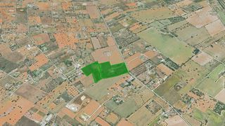 Masia  Pt son cunill. Solvia inmobiliaria  suelo rústico con vivienda llucmajor