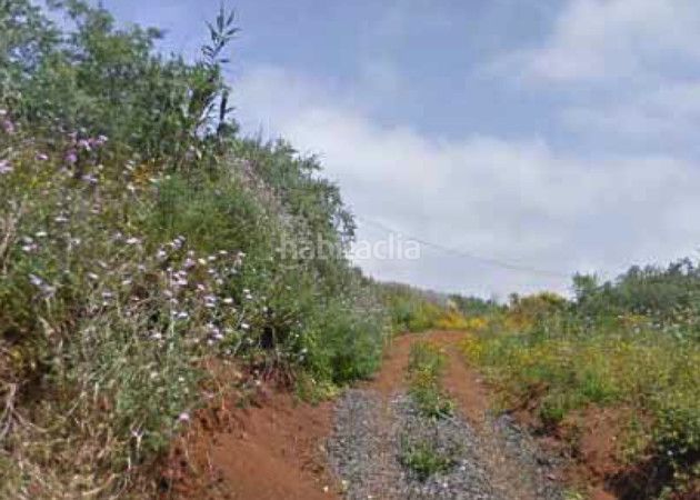 Foto db315ede-7a89-4840-a51f-9f596bff31bc. Landgut in Los Castillos Arucas
