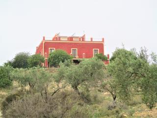 Xalet  Ctra cariatriz pol. Solvia inmobiliaria  chalet independiente sorbas