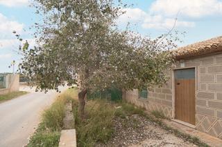 Chalet  Lg paraje los segados, la magdalena. Solvia inmobiliaria  chalet independiente cartagena