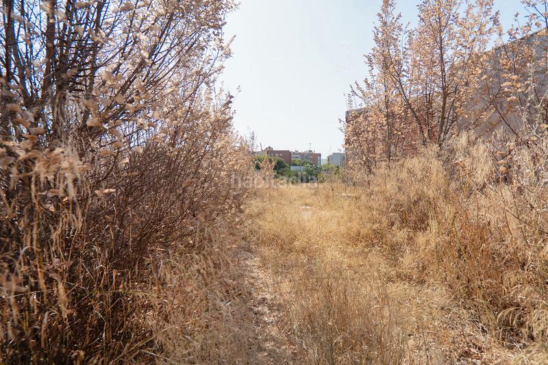 Foto 185376e1-f17d-498f-b8e9-3f05c203fc89. Finca rústica a Barriomar-La Purísima Murcia