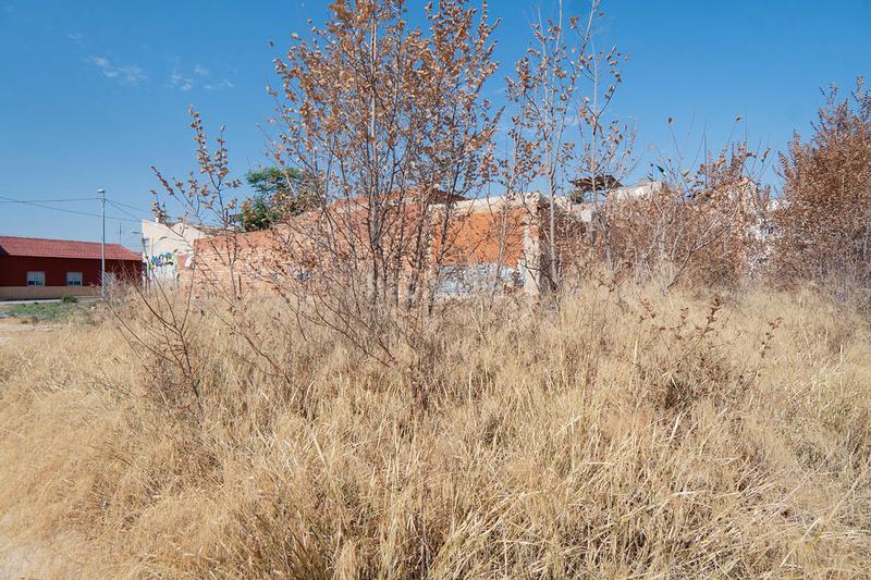 Foto 80d60f4f-be4d-4de3-96a0-c05ad56b2a4f. Finca rústica a Barriomar-La Purísima Murcia