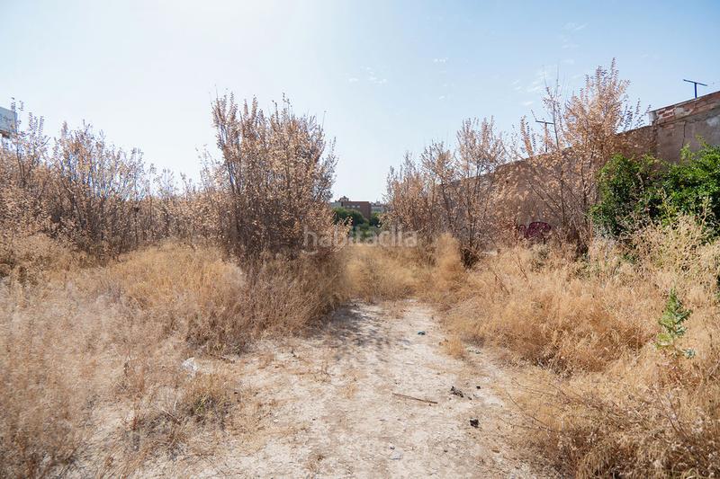 Foto 93910fcb-1241-4c93-85d6-3008e676f344. Finca rústica a Barriomar-La Purísima Murcia