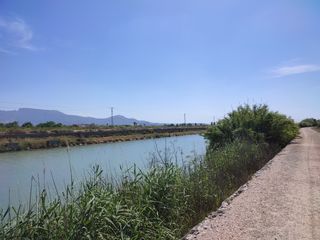 Finca rústica  Partida raconada. Solvia inmobiliaria  suelo rústico sueca