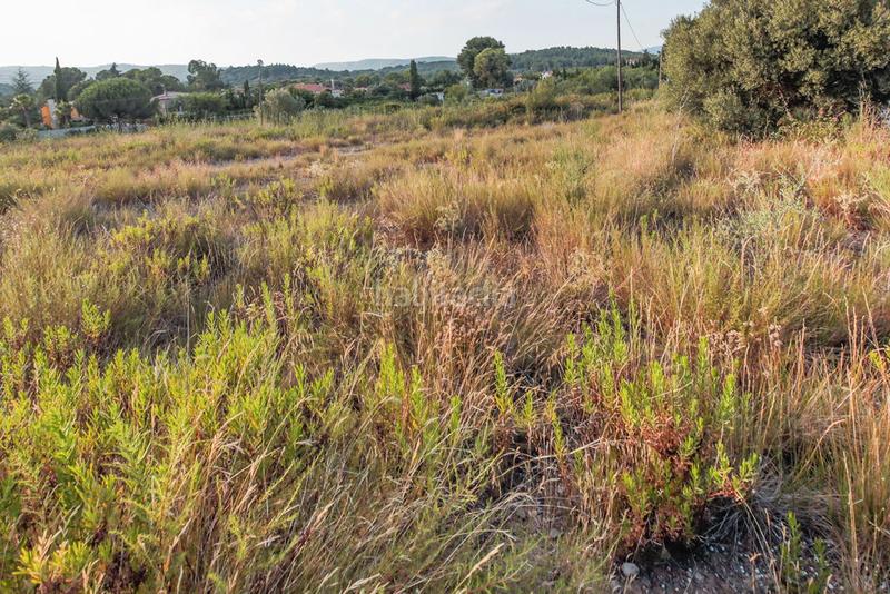 Foto fe9b503f-48b5-48c3-a0ae-fd4db15c16b7. Finca rústica solvia inmobiliaria suelo urbano no consolidado en Alcover