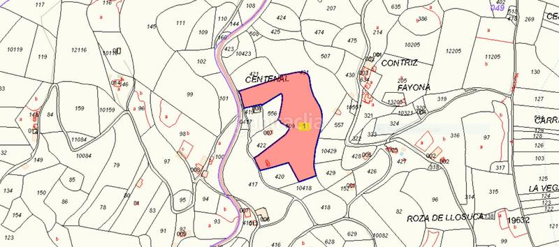 Foto b80eb524-3268-42ef-b361-cd56268306ef. Finca rústica solvia inmobiliaria suelo rústico en Villaviciosa