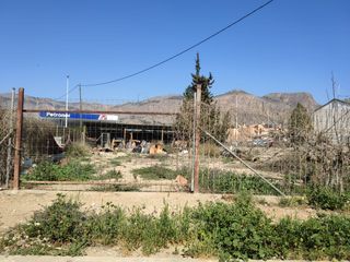 Fondo rustico  Barrio de la concepción. Solvia inmobiliaria  suelo rústico orihuela