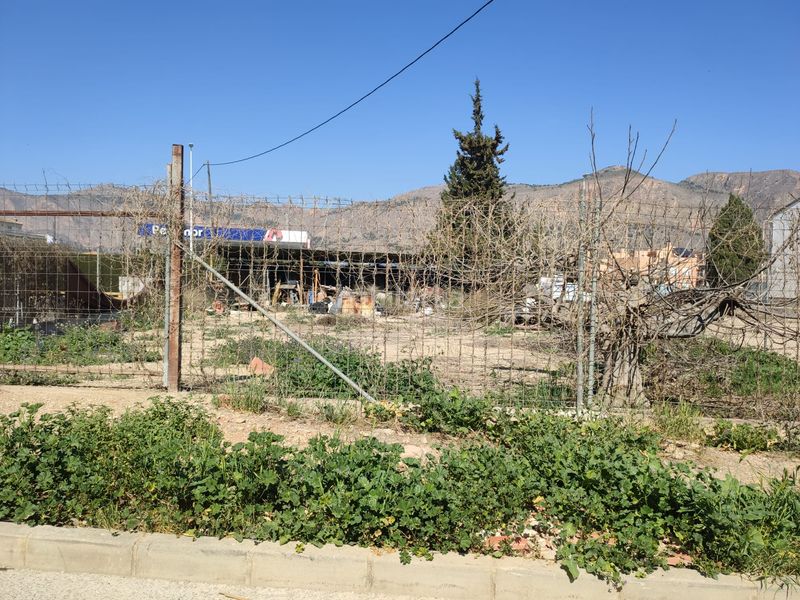 Foto ed50c9db-d19c-4c84-897f-99743ef2ebf7. Finca rústica a Orihuela ciudad Orihuela