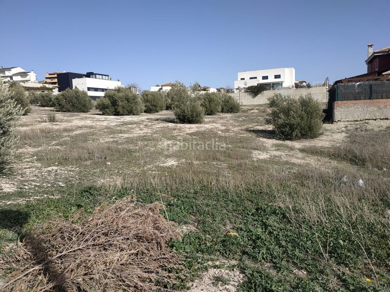 Foto 68abb666-aaf1-4020-aa34-c3fb57f2cd6e. Finca rústica a Guardia de Jaén (La)