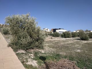 Finca rústica a Urb. Entrecaminos