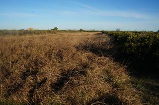 Rural plot  Pt la mola. Solvia inmobiliaria  suelo rústico albalat de la ribera