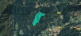 Rural plot  Lg finca capdevila. Solvia inmobiliaria  suelo rústico borredà