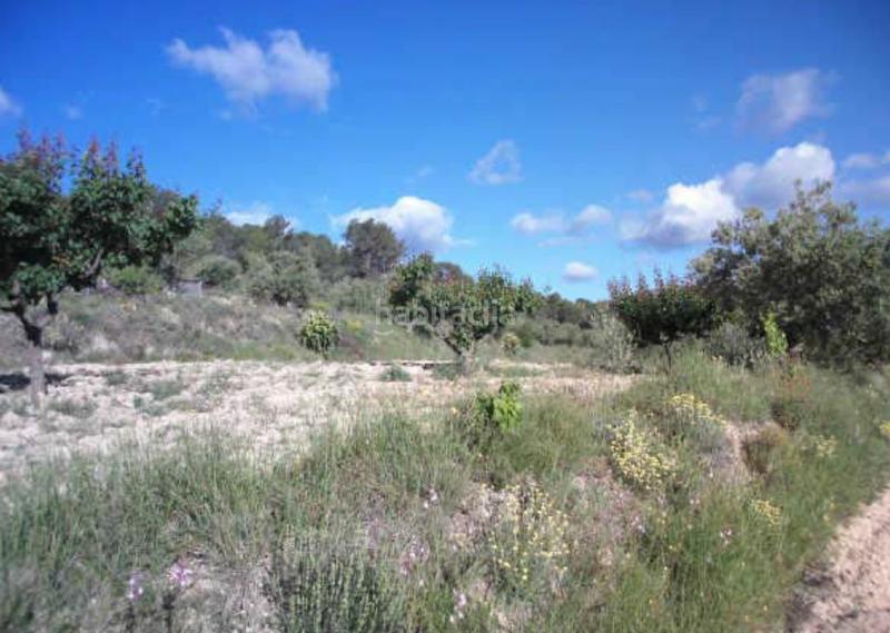 Foto 63ded77a-d459-4d7b-8f44-3f1997fddc7e. Finca rústica solvia inmobiliaria suelo rústico mogente en Moixent
