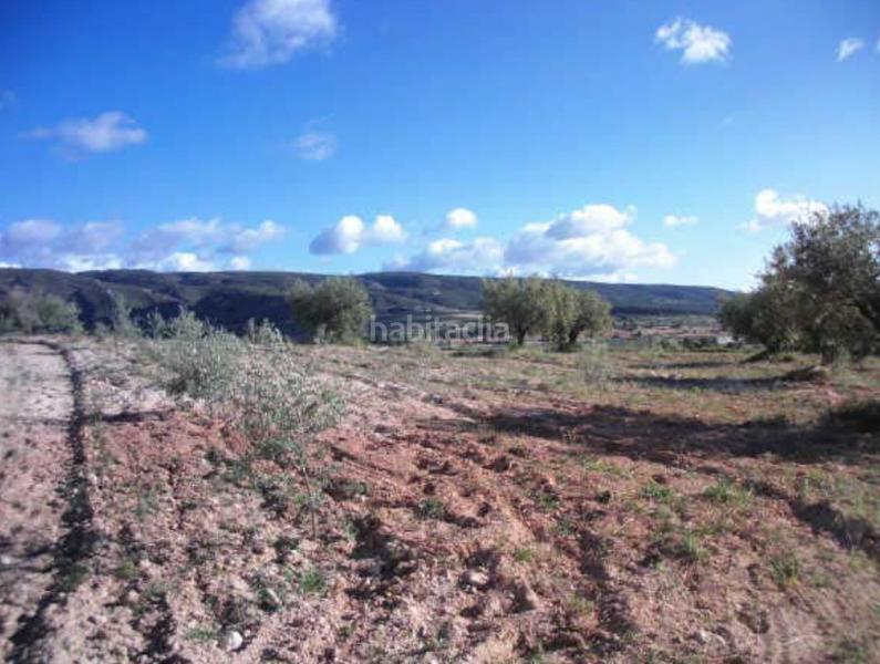 Foto 67b413ef-2a3e-43e8-b6a1-925b3ec99f31. Finca rústica solvia inmobiliaria suelo rústico mogente en Moixent