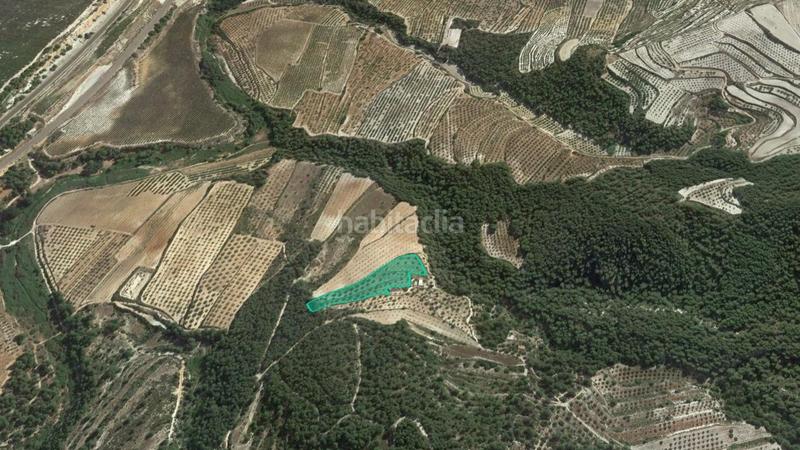 Foto e4bfc76a-3843-4ff0-9594-b6e492422d7a. Finca rústica solvia inmobiliaria suelo rústico mogente en Moixent