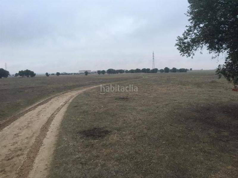 Foto a65c75de-2573-433c-9c4b-dfb63a516c74. Fondo rustico in Los Cestos-Belén-Las Eras Ciempozuelos
