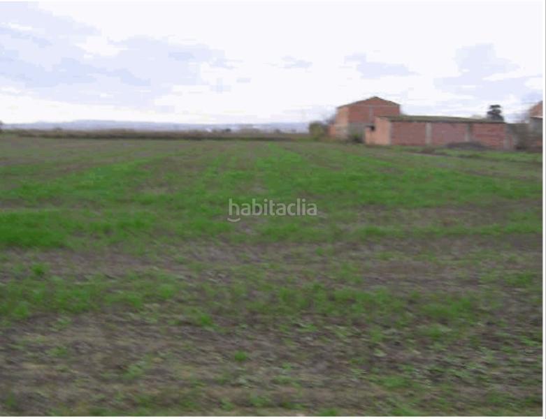 Foto 41c41c00-f393-4ee2-9274-b01d0830a49a. Finca rústica a Movera Zaragoza