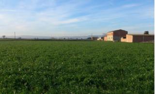 Propriété  Cl parcela. Solvia inmobiliaria  suelo urbano no consolidado zaragoza