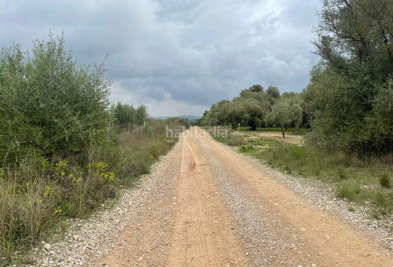 Foto c13b67a5-e29a-4a39-9277-4368b301572e. Fondo rustico in Ulldecona