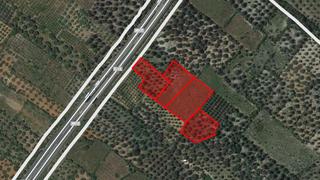 Finca rústica  Ptda mas de rector. Solvia inmobiliaria  suelo rústico ulldecona