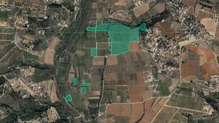 Finca rústica  Azud y pla de chichim. Solvia inmobiliaria  suelo rústico montroy