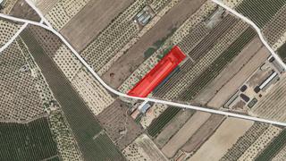 Finca rústica  Pt sports travesers. Solvia inmobiliaria  terreno con edificación maials