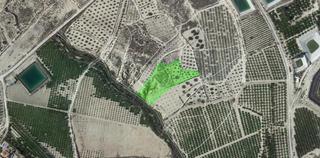 Finca rústica  C/ pago de los tollos. Solvia inmobiliaria  suelo rústico albudeite