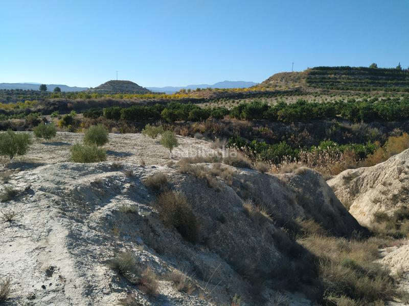 Foto 809dd178-3eec-4c22-a235-6c4e41ef4bf9. Fondo rustico in Albudeite