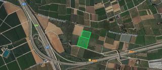 Propriété  Pt. garrofera del toro. Solvia inmobiliaria  suelo rústico torrent