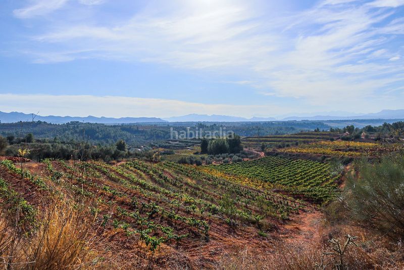 Foto 7882cb9e-e44b-4920-b352-51be65908aa9. Xalet a Masroig (El)