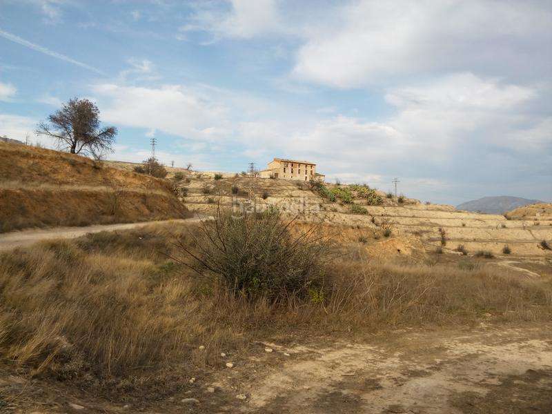 Foto 2091f561-6964-4a6f-9f85-c43f5213dc36. Finca rústica solvia inmobiliaria suelo rústico alcoy en Alcoi