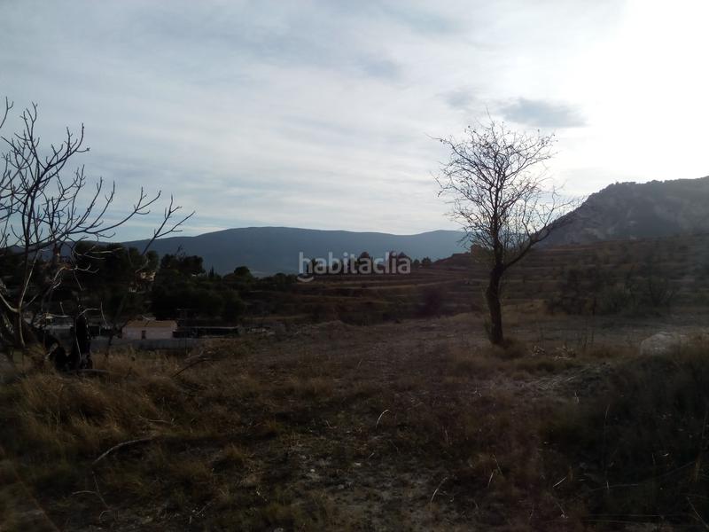 Foto 3bf96e61-bb58-417a-b14f-d866a69abad1. Finca rústica solvia inmobiliaria suelo rústico alcoy en Alcoi