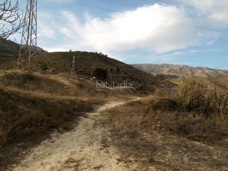 Foto c16d0fbf-c0db-40ce-a202-47bc8bc81066. Finca rústica solvia inmobiliaria suelo rústico alcoy en Alcoi